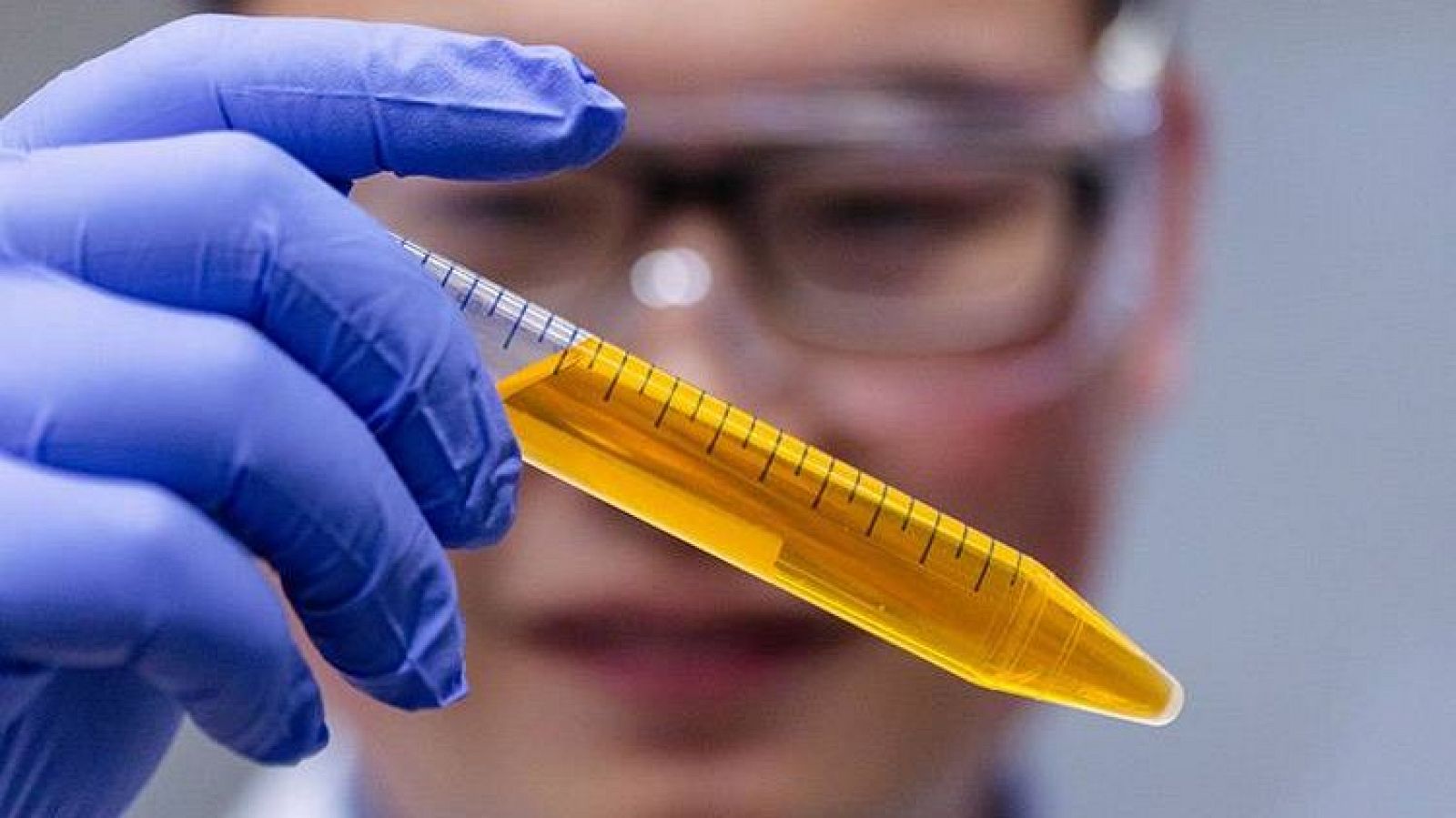 Desarrollan un tinte que consigue que la piel de ratones se vuelva transparente | Ver