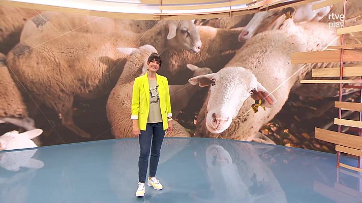 Ahora o nunca - Verano - Programa 39