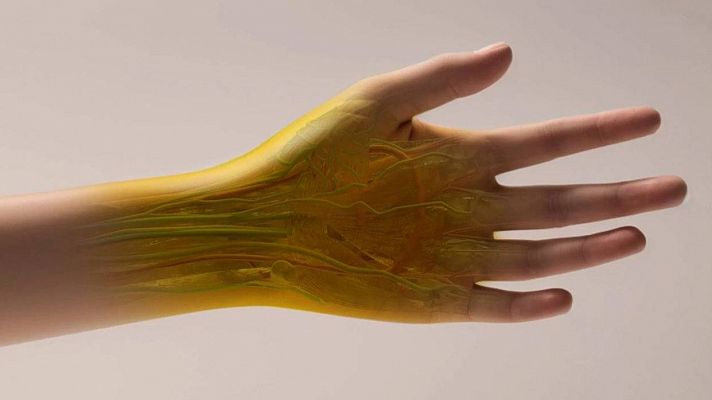 Telediario 1 - Descubren que un colorante alimentario convierte en transparente la piel de ratones