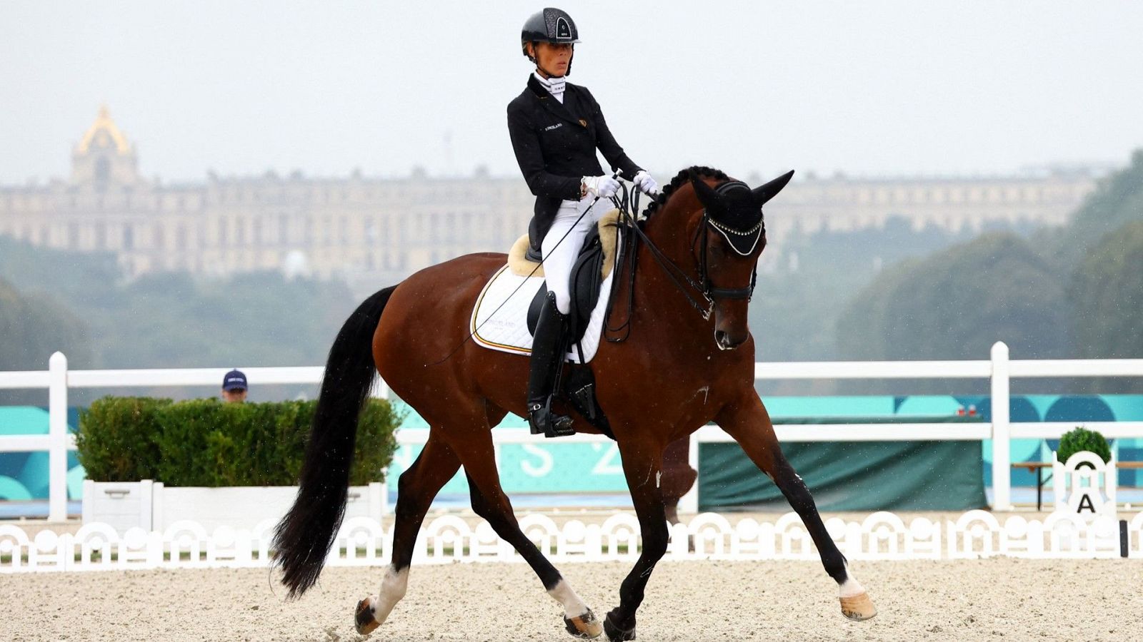 Paralímpicos París 2024 - Hípica doma: Categorías 1, 2, 3, 4 y 5. Evento libre individual