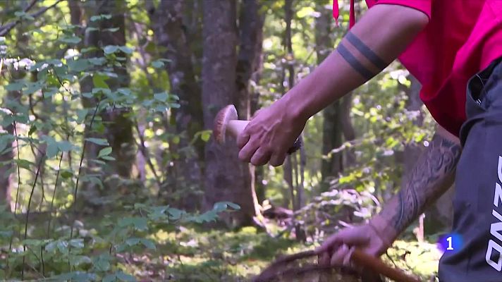 L'Informatiu - Comença la temporada de bolets