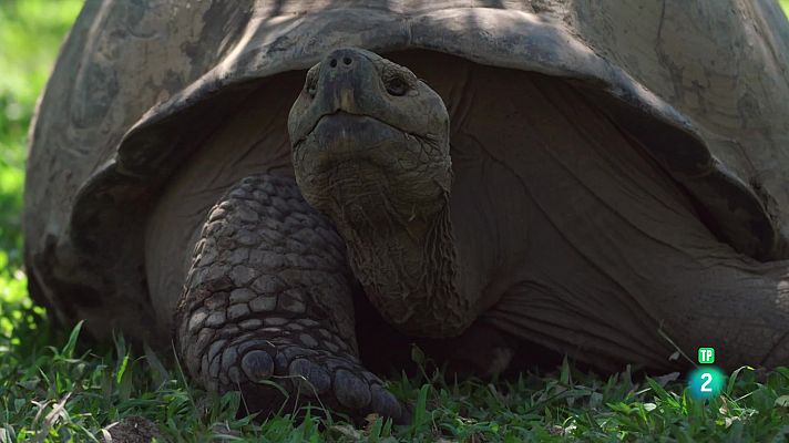 Som Documentals - Un dia calorós al nou món | De l'alba al vespre