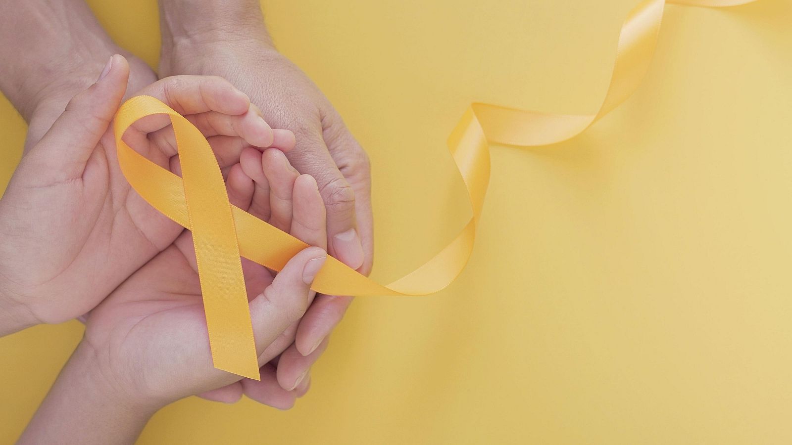 Prevenir el suicidio entre los jóvenes: más formación y tiempo | Ver