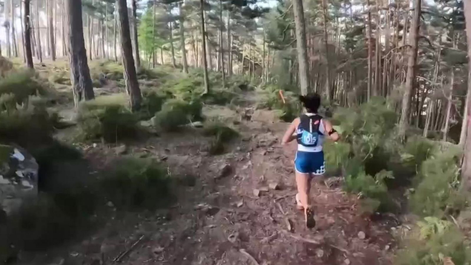 Trail - Campeonato del Mundo Carreras de Montaña  - ver ahora