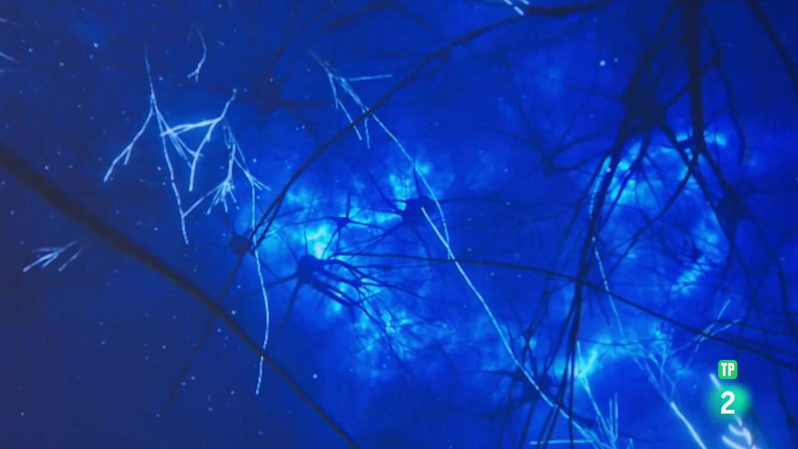 Guía sobre el uso de la inteligencia artificial en las aulas | Ver