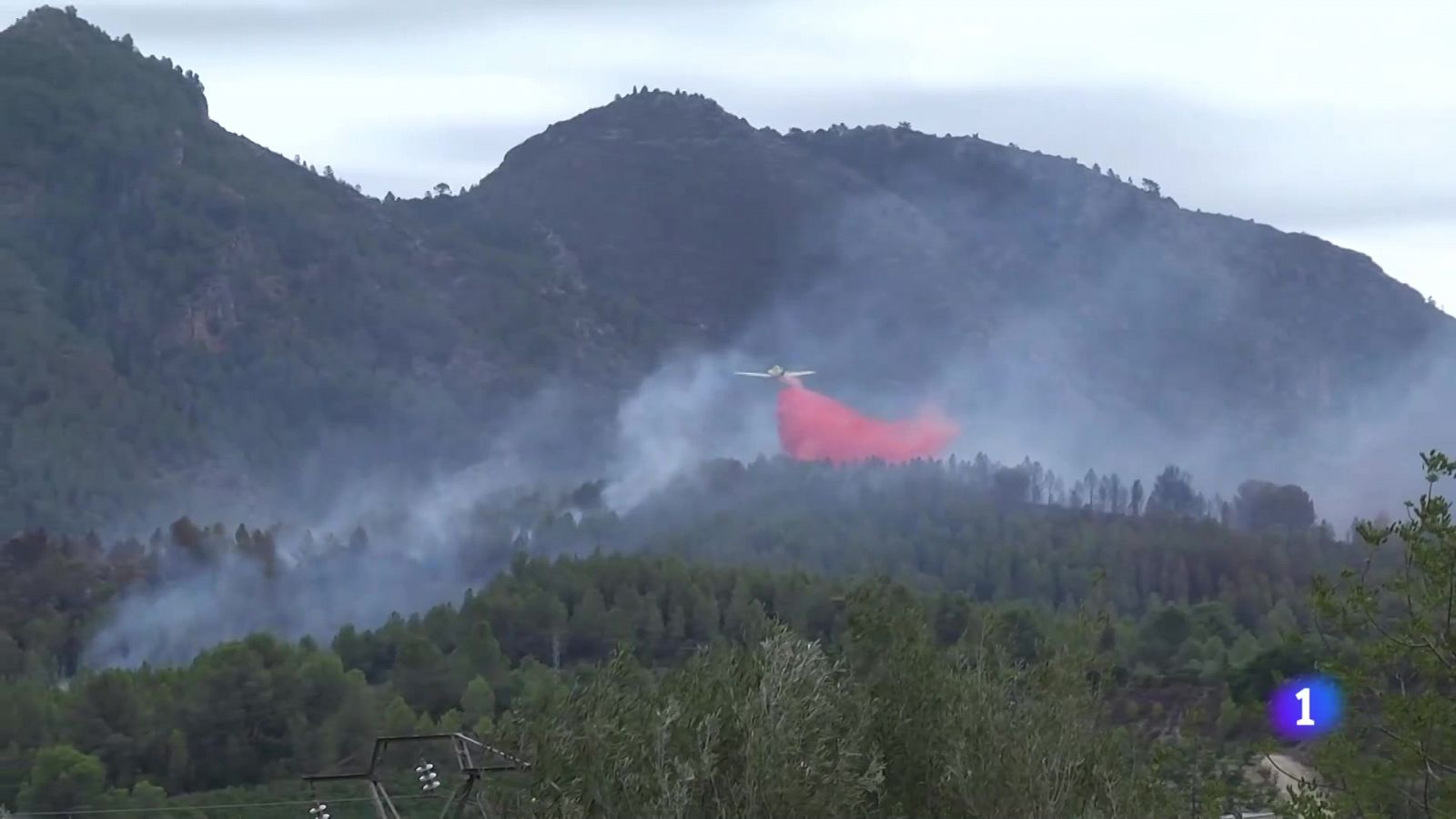 L'Informatiu de la Comunitat Valenciana 2 - 13/09/24 - L'informatiu - Comunitat Valenciana | Ver