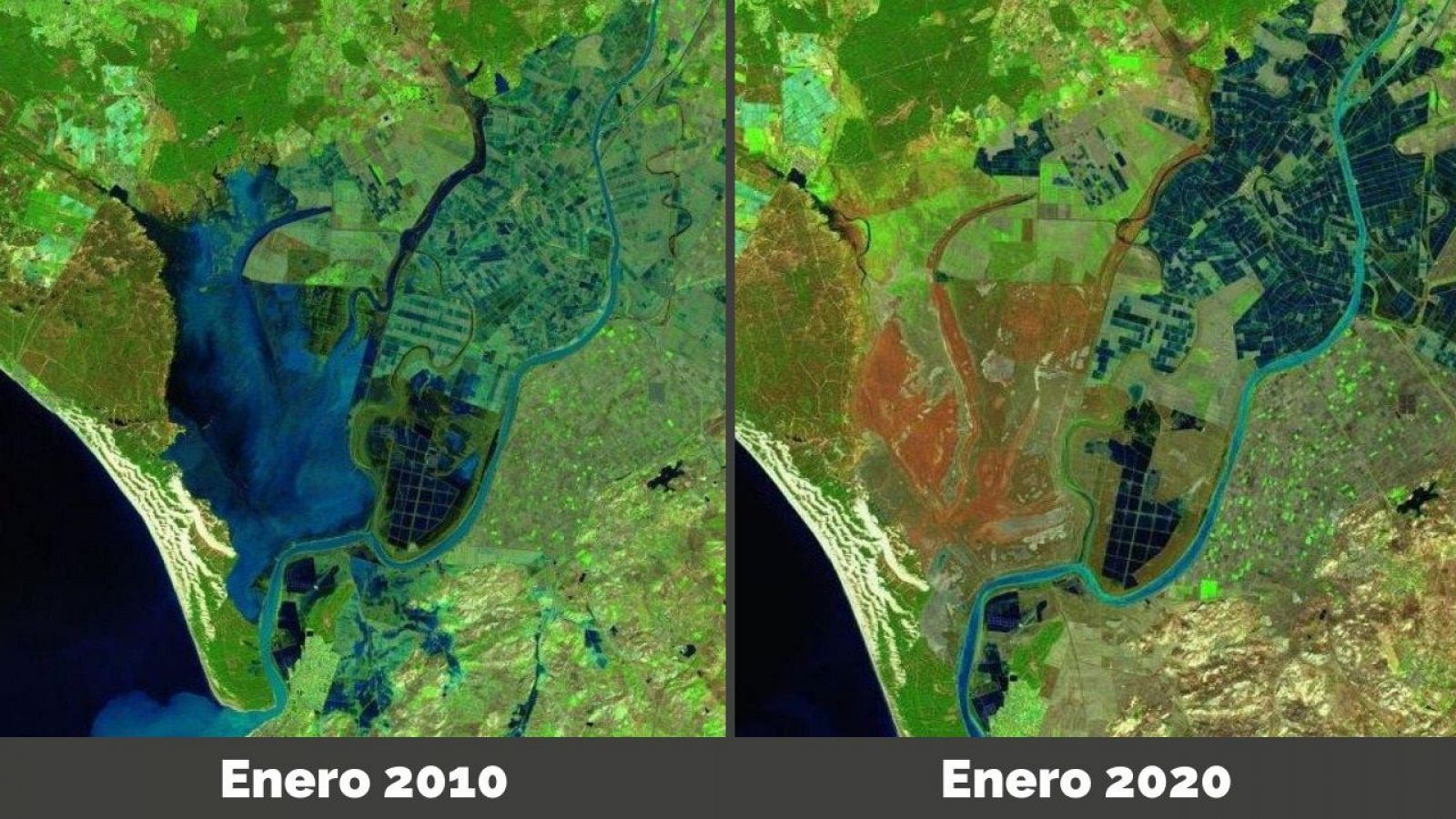 Los humedales de Doñana podrían desaparecer en menos de dos siglos