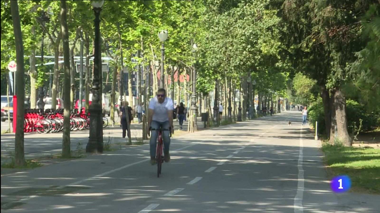 Es roben dues bicicletes al dia de mitjana