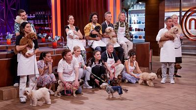 Perritos, los comensales más exquisitos de MasterChef