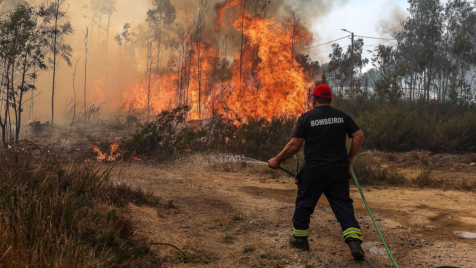 Varios muertos en los incendios forestales de Portugal