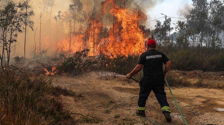 Los incendios forestales en Portugal dejan tres muertos y miles de hectáreas arrasadas