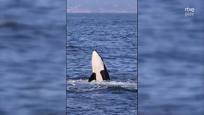 Aquí la Tierra - Aquí la Tierra - 16/09/24