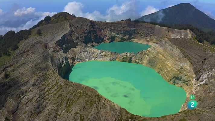 Som Documentals - Blau endins | Flores i Mar de Banda