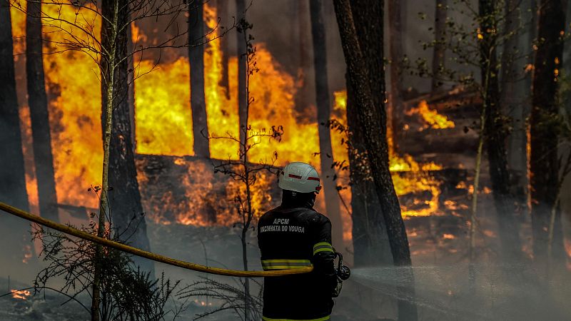 Incendios en Portugal: 5.000 efectivos luchan contra las llamas