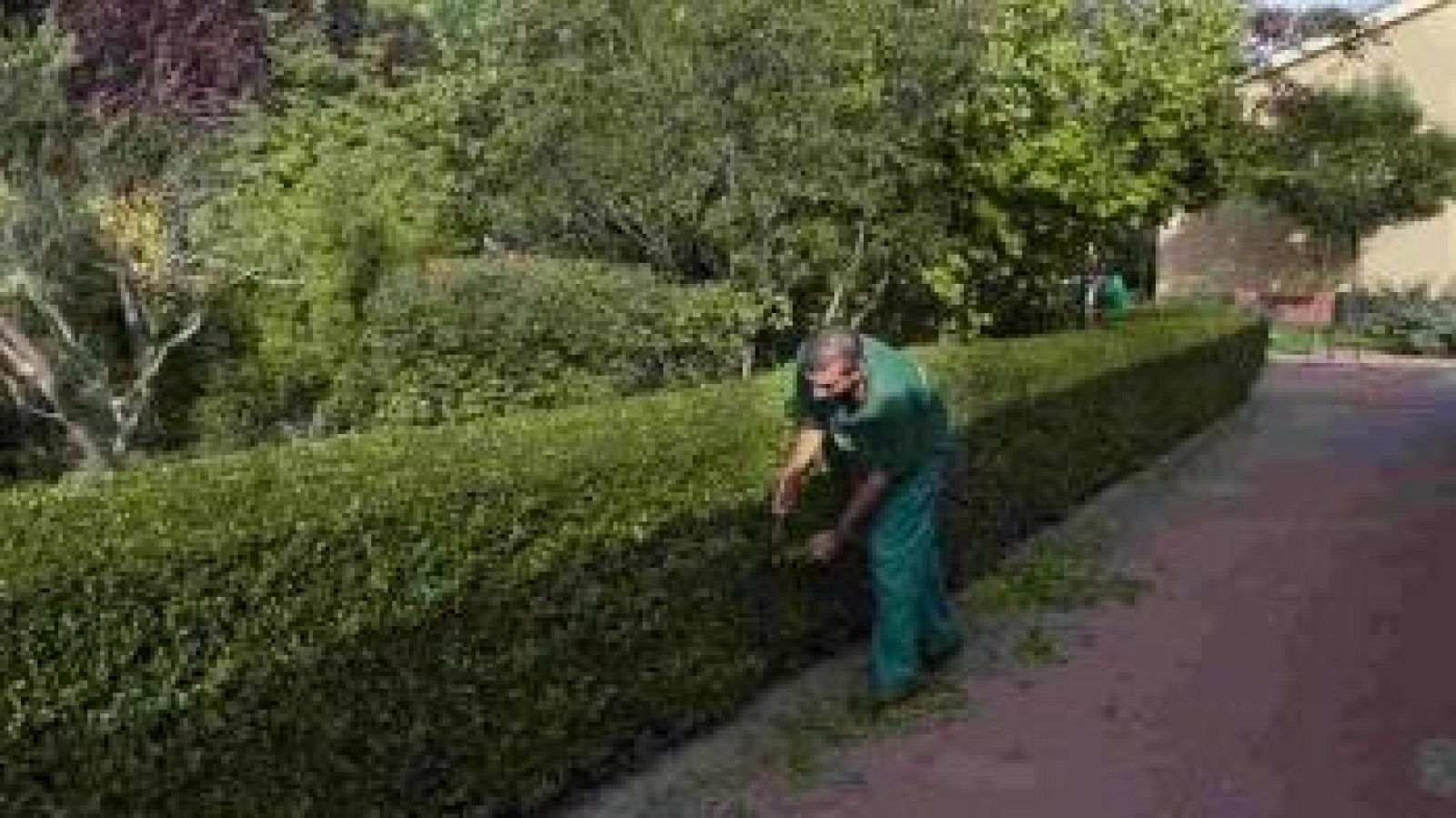 Aspadec. Inclusión de personas con discapacidad intelectual - Para todos La 2 | Ver