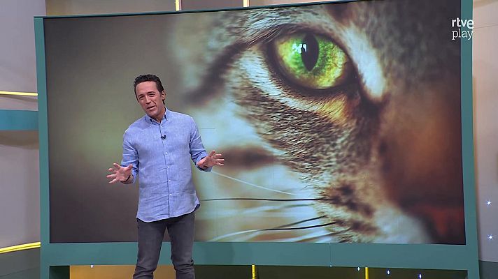 Aquí la Tierra - Aquí la Tierra - 18/09/24