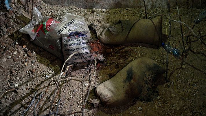 Telediario en lengua de signos - Telediario - 21 horas - 18/09/24 - Lengua de signos