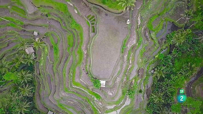 Som Documentals - Blau endins | Bali