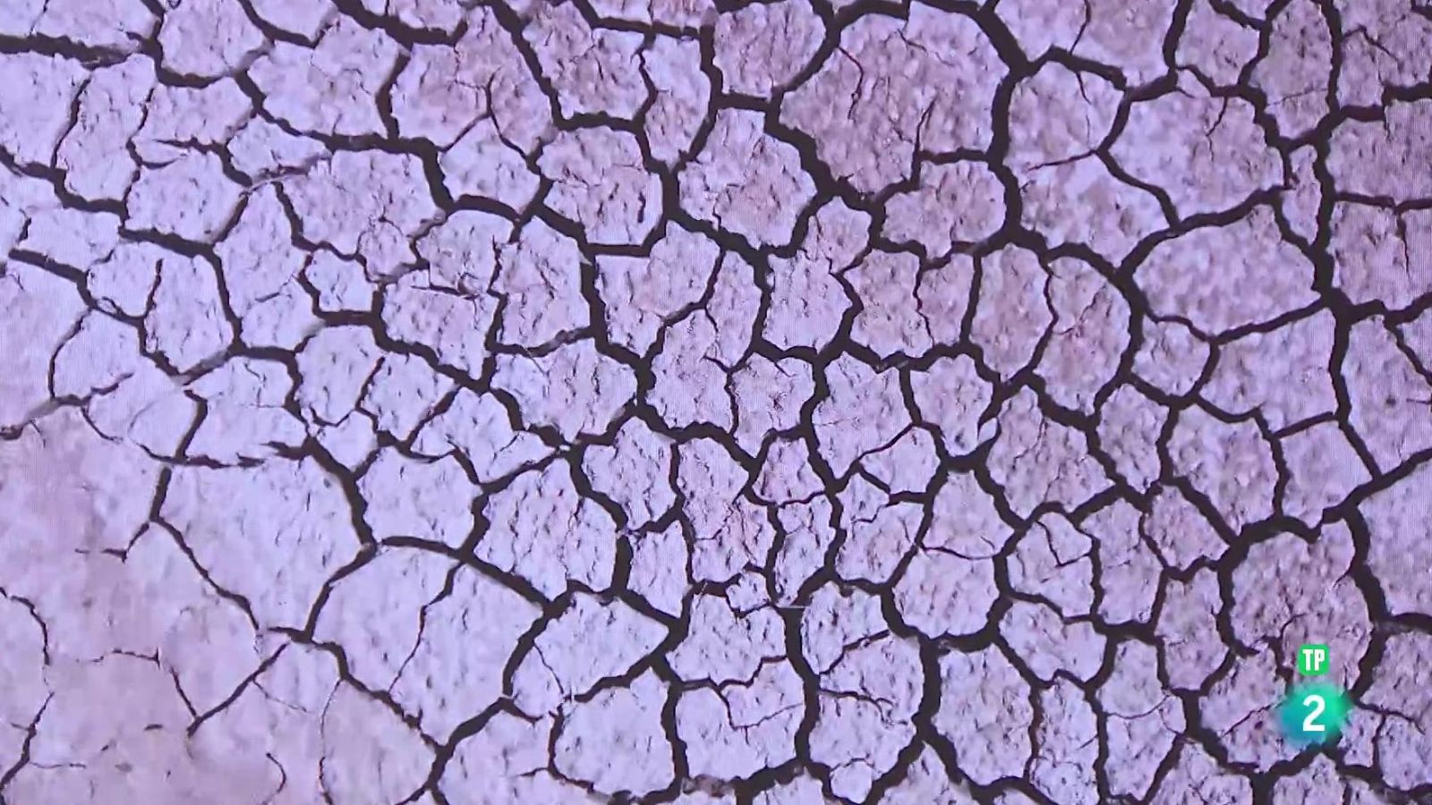 Rafael Seiz de WWF. La sequía y la gestión del agua | Ver