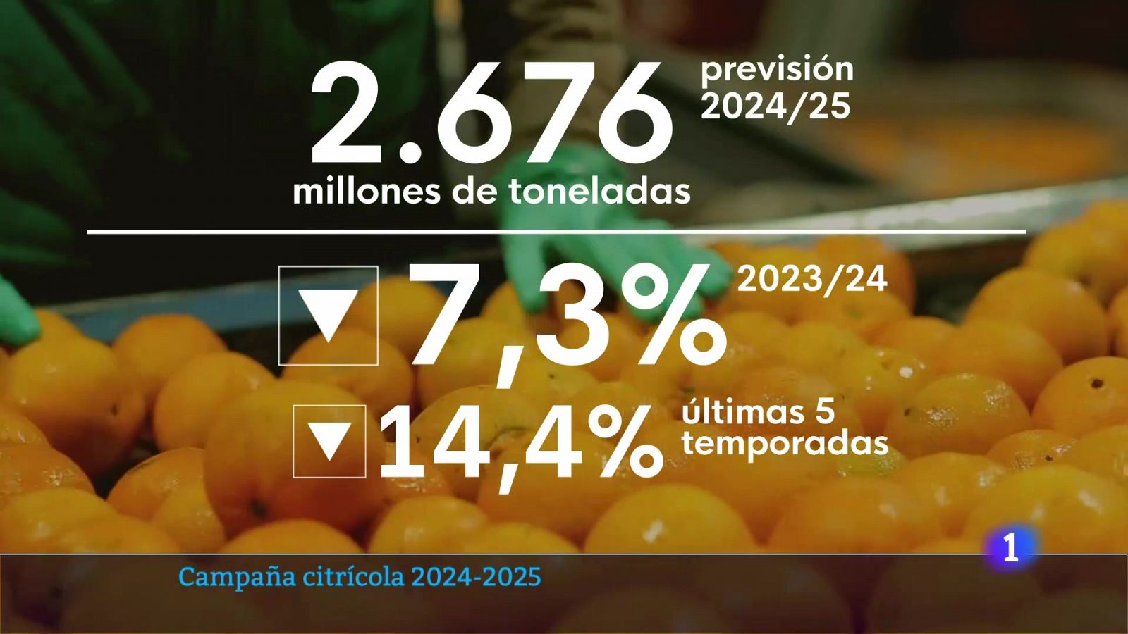 L'Informatiu de la Comunitat Valenciana 1 - 19/09/24 | Ver