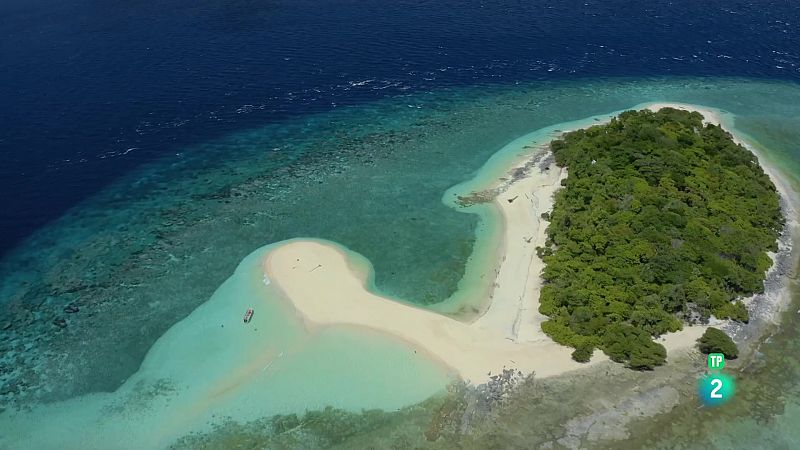 Grans Documentals - Blau endins | Ambon - Veure ara