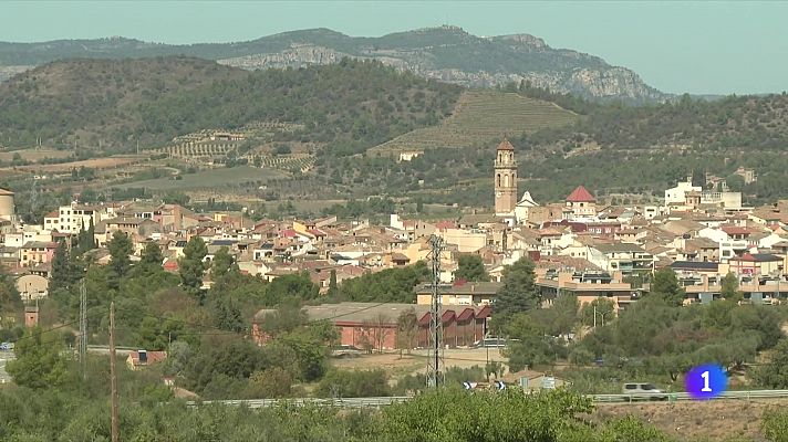 L'Informatiu - El Priorat trasllada els seus greuges al president de la Generalitat