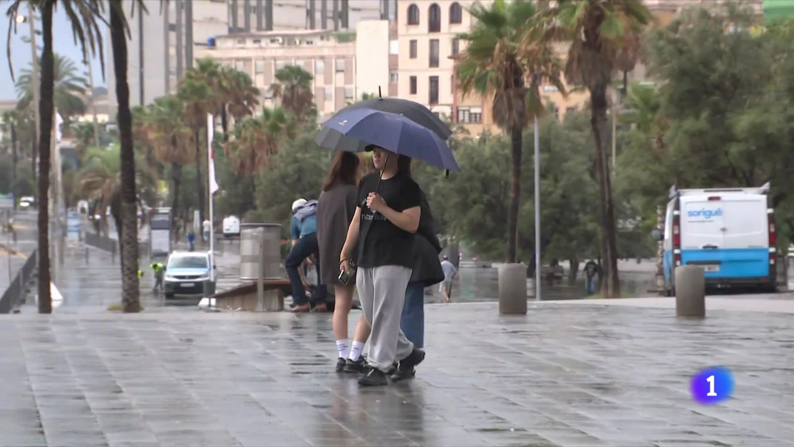 Divendres de pluges intenses, amb més de 60 l/m2 - L'Informatiu | Veure