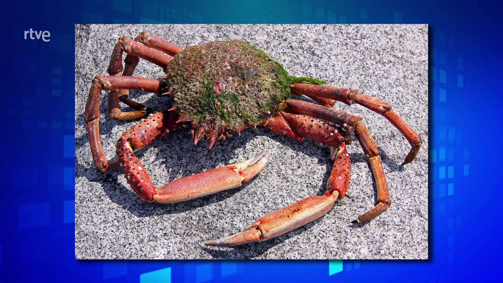 Saber y ganar - 20/09/24 - ver ahora