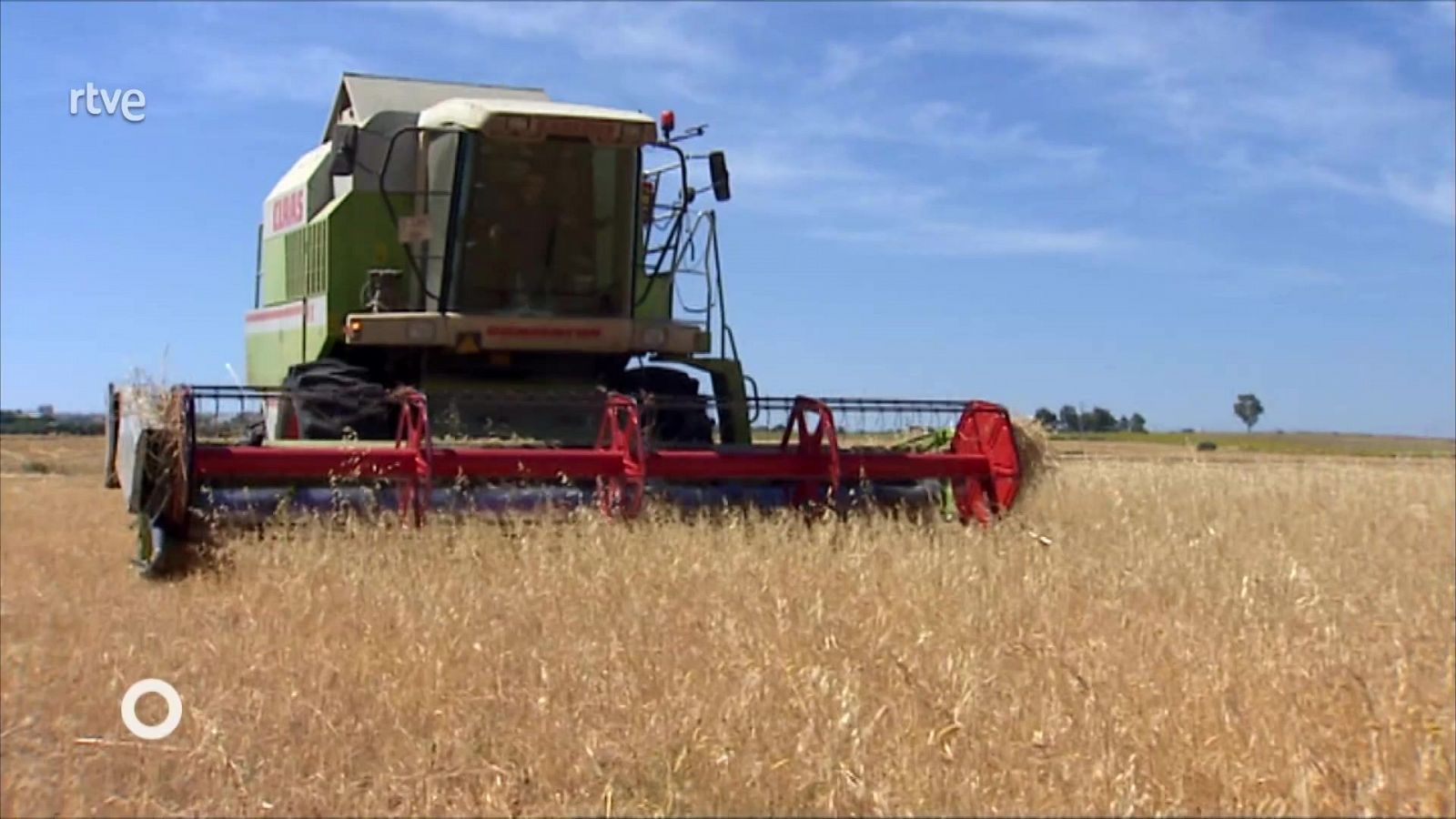 Los conciertos de la 2 - Concierto extraordinario desde Santo Domingo de la Calzada - ver ahora