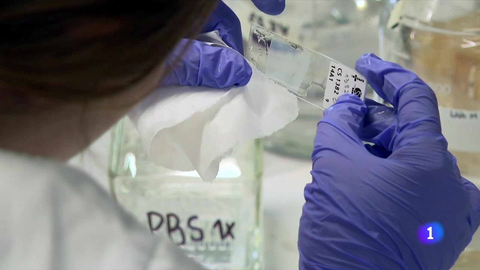 En el Dia Mundial de l'Alzheimer es reclama més suport per als malalts - L'Informatiu | Veure