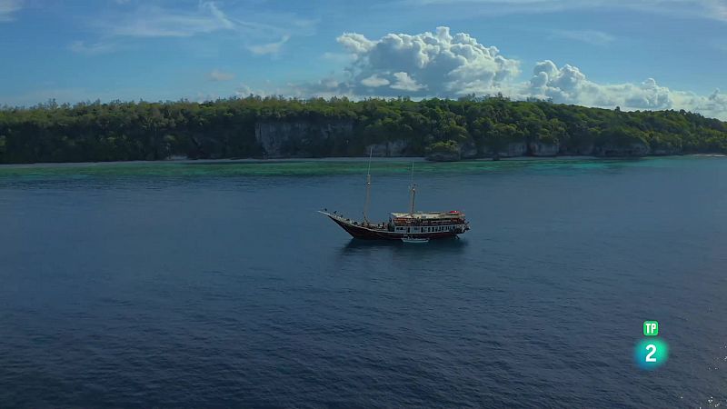 Grans Documentals - Blau endins | Sulawesi: Manado i Lembeh - Veure ara