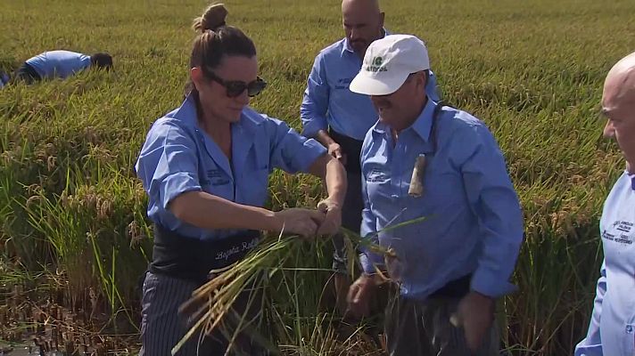 L'informatiu - Comunitat Valenciana - L'Informatiu de la Comunitat Valenciana 1 - 23/09/24