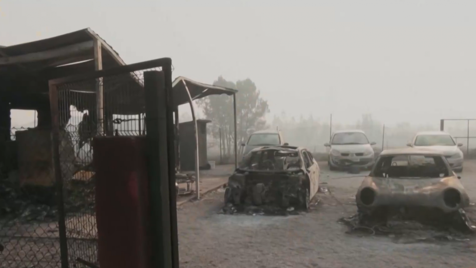 Los incendios en Portugal dejan a decenas de personas sin casa - La tarde en 24h | Ver