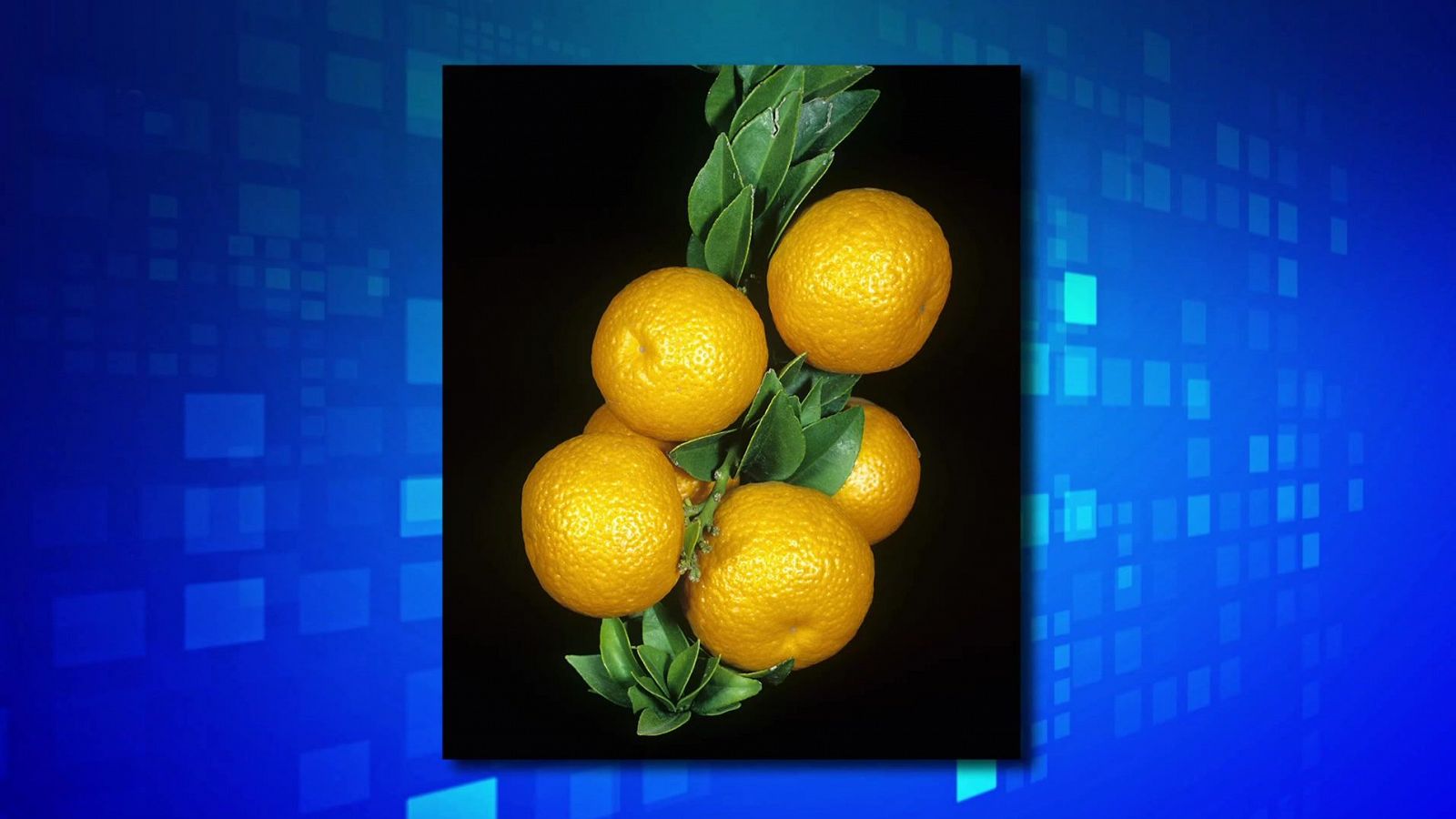 Saber y ganar - 23/09/24 - ver ahora