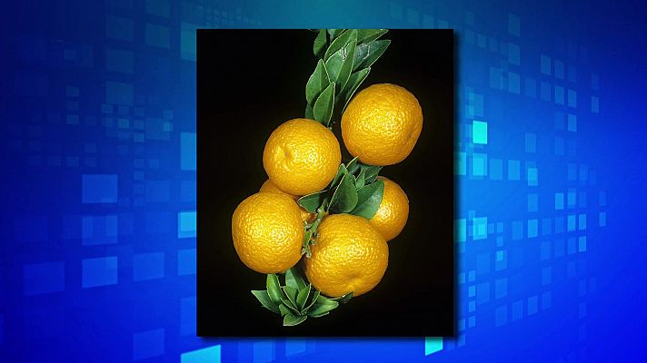 Saber y ganar - Saber y ganar - 23/09/24