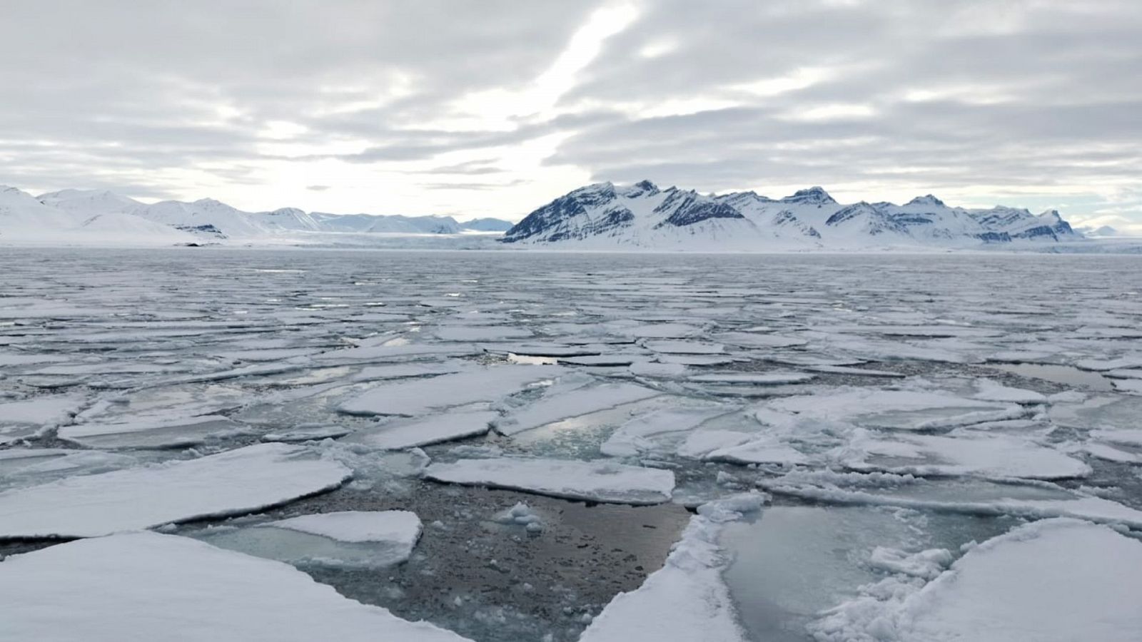 Documentos TV - Svalbard, deshielo y tensión - Ver ahora