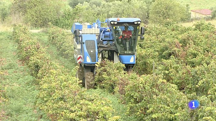 Informativo Telerioja - Informativo Telerioja - 24-09-2024