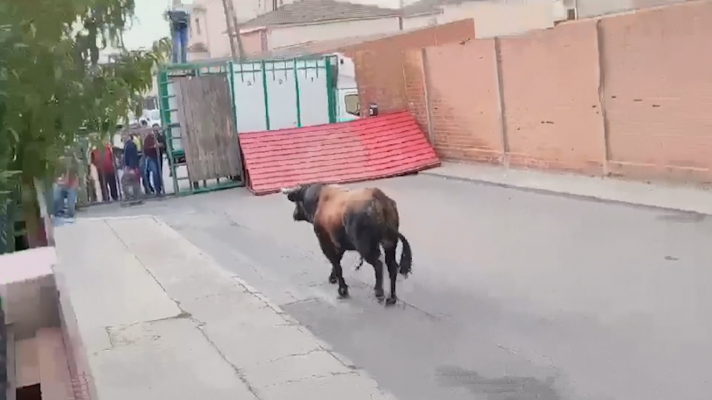 Un muerto y tres heridos al escaparse un toro de un encierro en Pantoja, Toledo