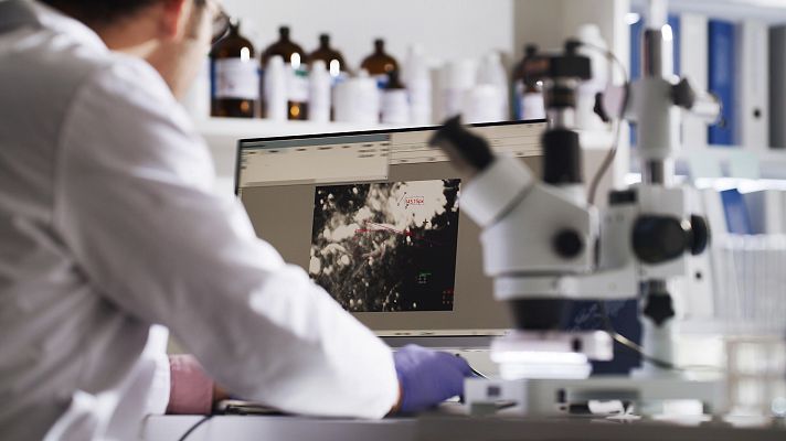Telediario 1 - Los expertos creen que la IA será un "cambio de paradigma" en la investigación del cáncer