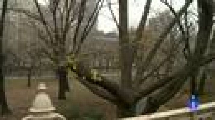 Españoles en el mundo - Españoles en el mundo - Navidad en Nueva York - Nieves