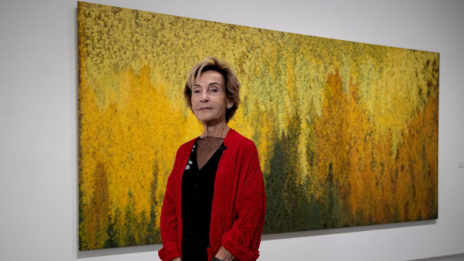 Soledad Sevilla, una exposición que envuelve al espectador entre líneas y geometrías | Ver