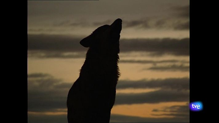 Panorama Regional - Panorama Regional 2 - 25/09/24