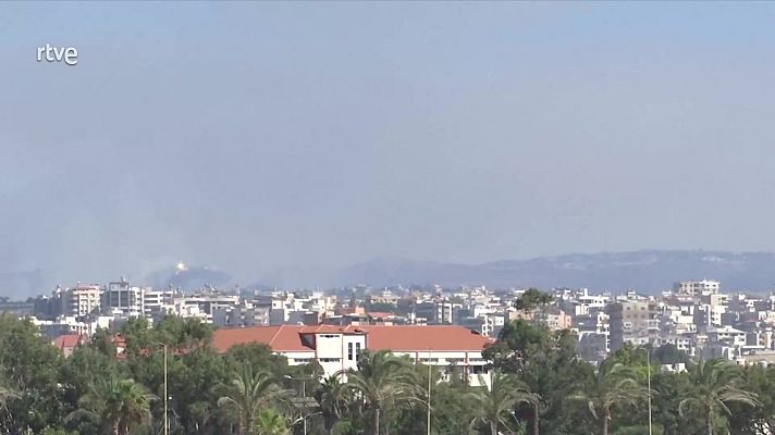 Diario 24 - Diario 24 - 26/09/24