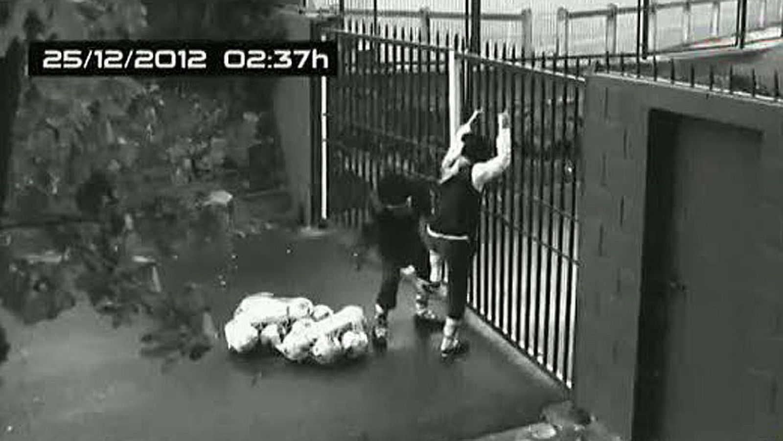 Dos 'olentzeros' se han colado de madrugada en Zubieta. Eran Griezmann y Bergara, que han impregnado su espíritu navideño a toda la familia realista.