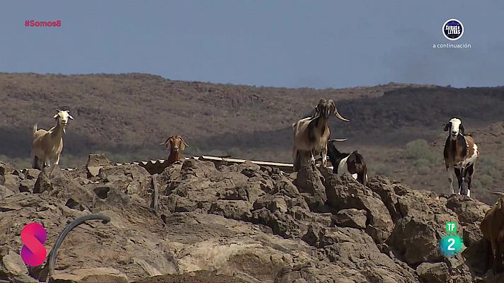 Somos 8 - Somos 8 - 26/09/2024