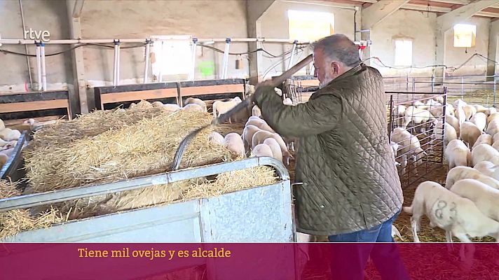 Parlamento - Herminio Sancho