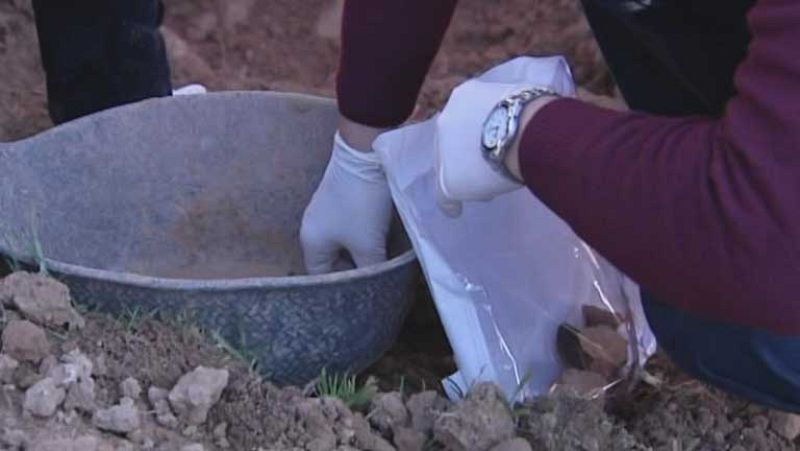 Exhumaciones y pruebas de ADN para confirmar los casos de bebes robados