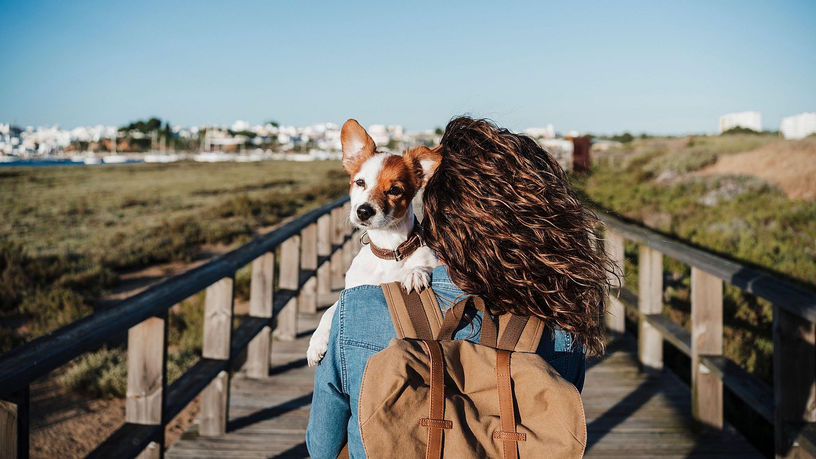 Una mujer, víctima daños morales por no ver a su perro durante diez meses