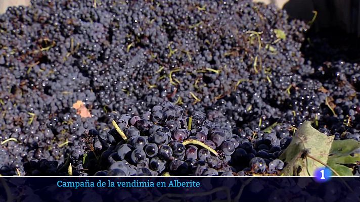 Informativo Telerioja - Informativo Telerioja  - 02/10/24 - Ver ahora