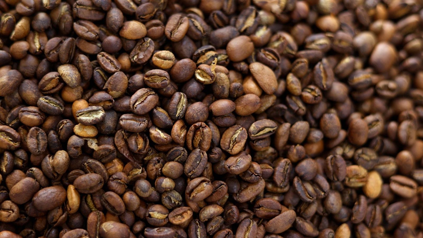 Maestros de los sabores - T1 - Episodio 2: Los maestros del café - ver ahora